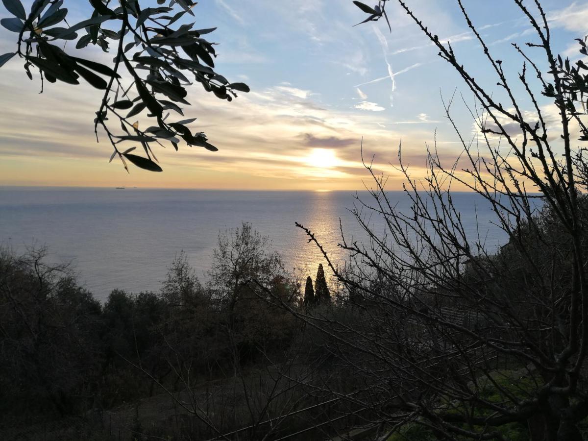 Villa Gio - Terrazza Nel Blu Bergeggi Dış mekan fotoğraf